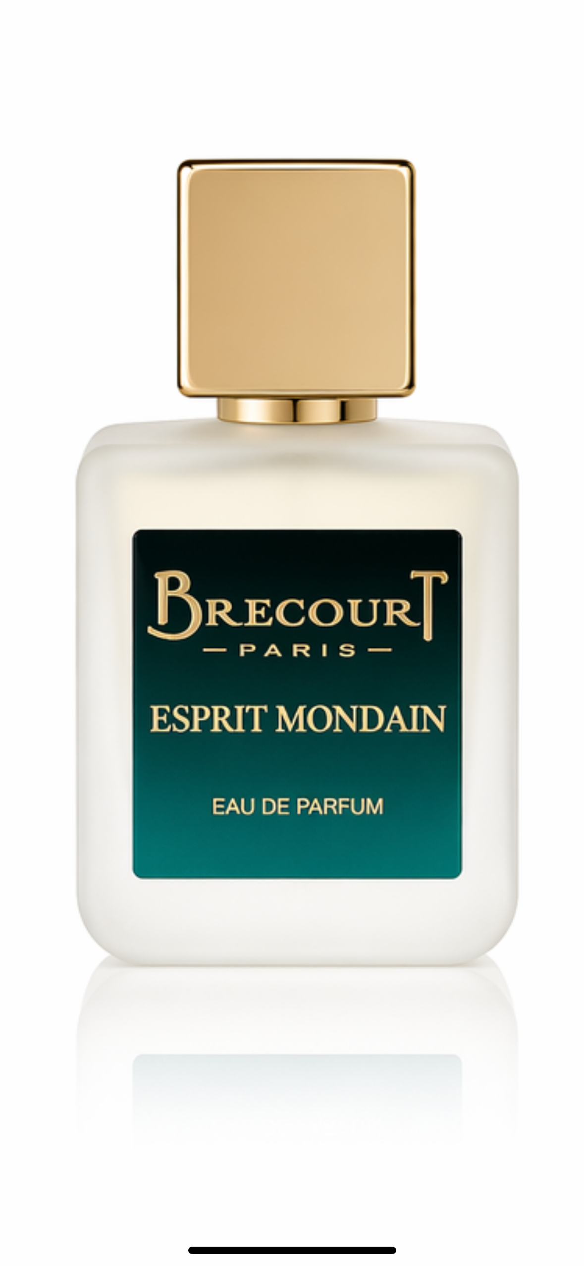 Parfumuri pentru bărbați Brecourt Esprit Mondain Edp M 50Ml Brecourt Esprit Mondain Edp M 50Ml - imagine 2