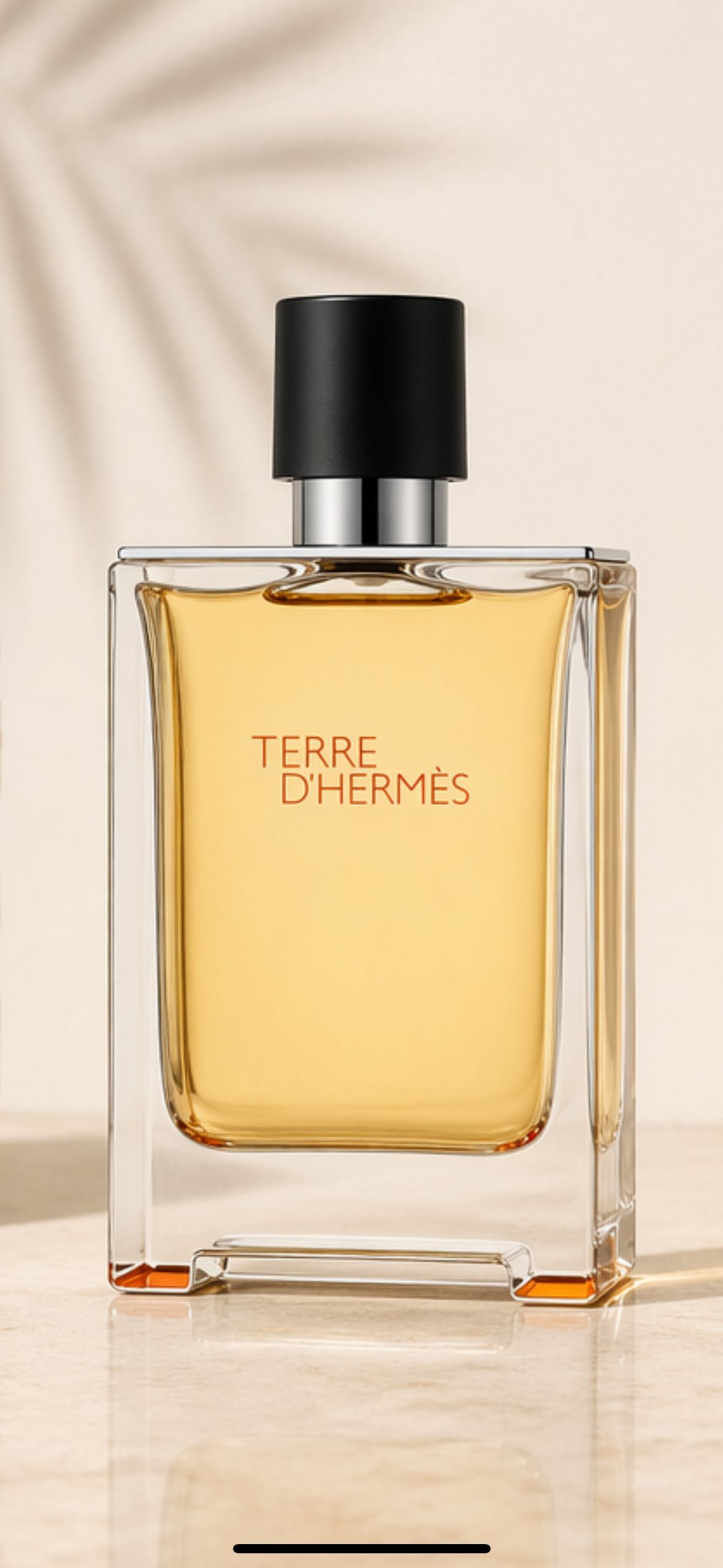 Parfumuri pentru bărbați HERMES TERRE EDP HERMES TERRE EDP - imagine 2